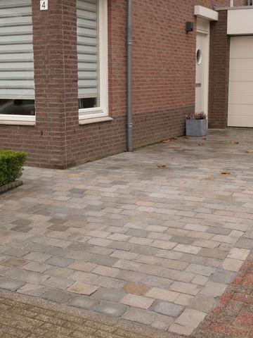 Venlo Kandla