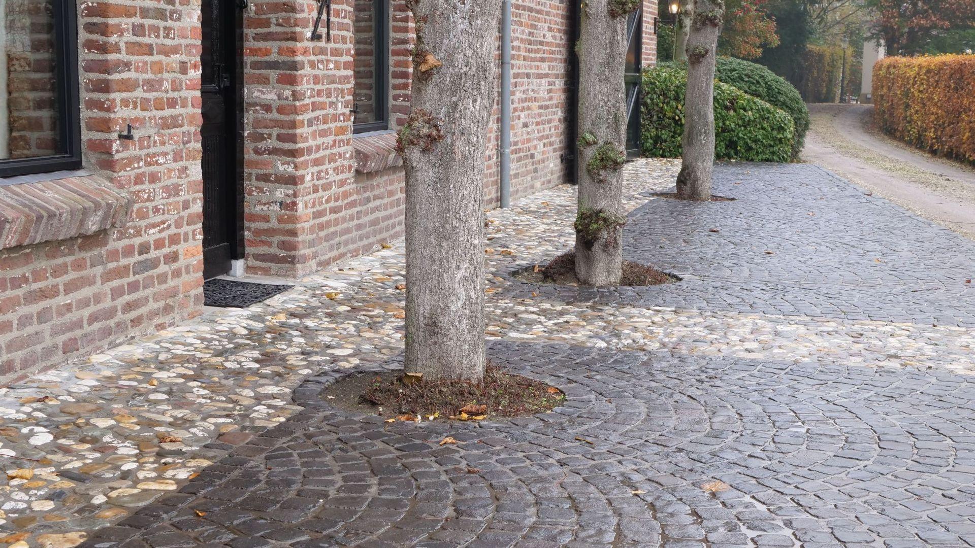 Venlo voorgevel woonboerderij