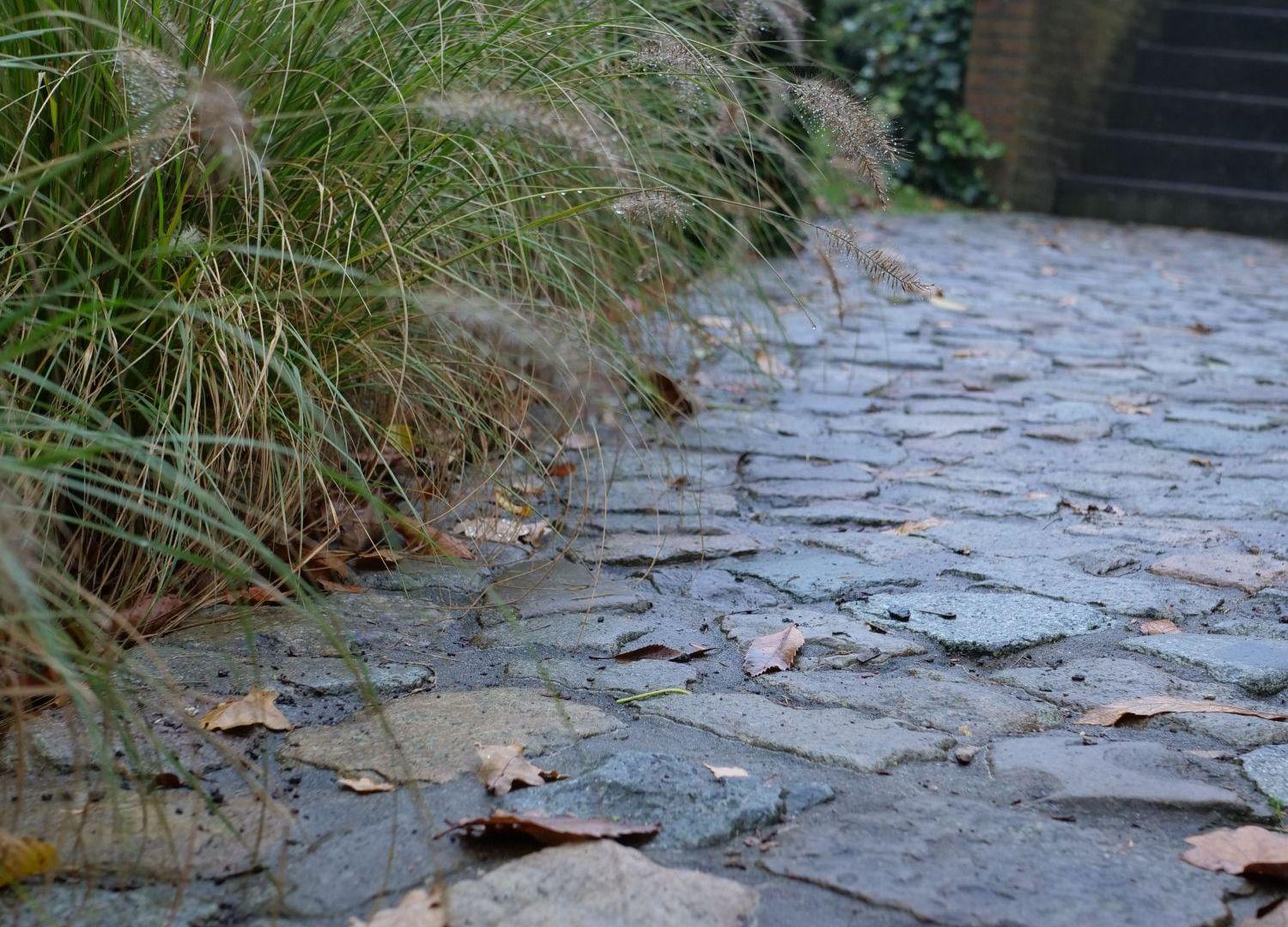 Venlo boerenkasseien